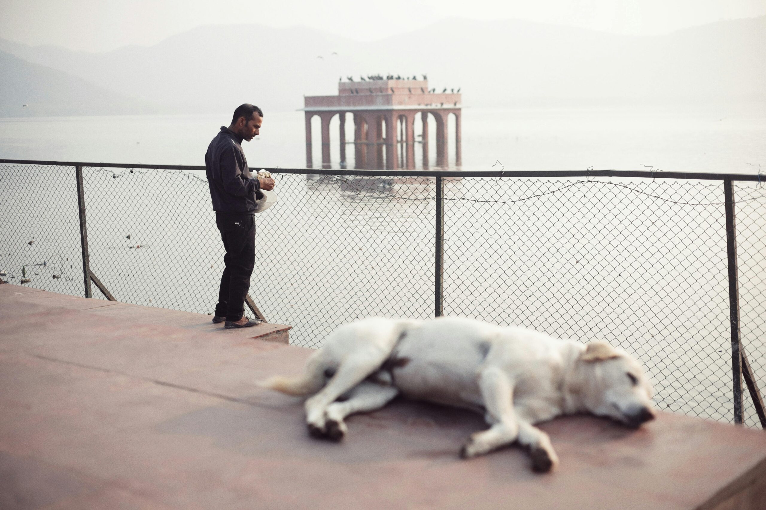 Ein Mann und ein Hund an einem ruhigen Tag am Jal Mahal in Jaipur, Indien.